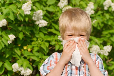 children and allergies, allergy wellness clinic